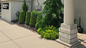 Commercial Project Mt. Pleasant, MI