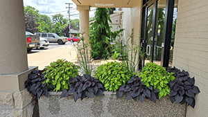 Residential Landscaping